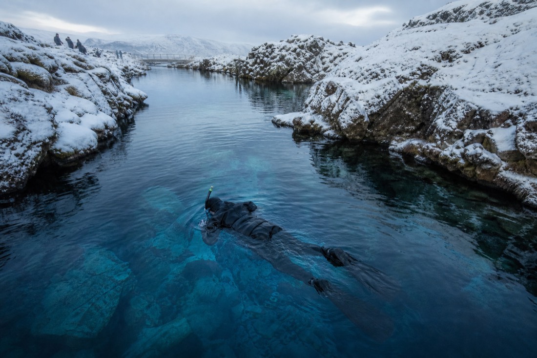 A drysuit snorkeller floating above the bright blue water of the Silfra fissure